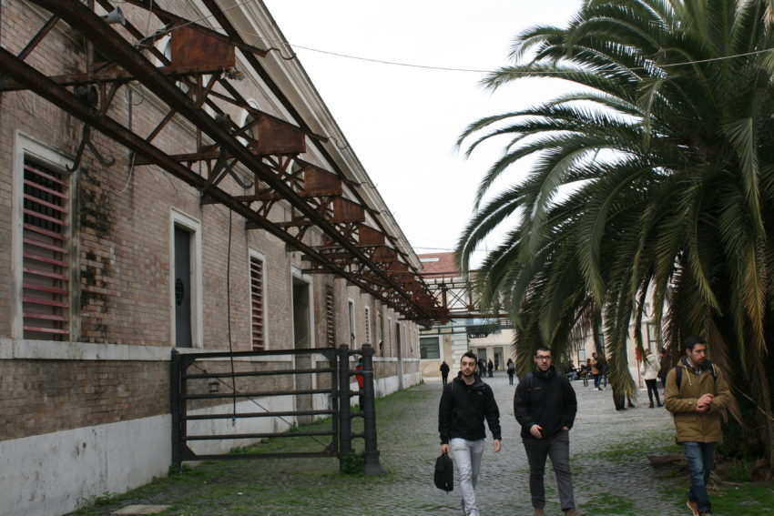Testaccio's slaughterhouse was used until 1975. The meat hooks can be seen above.