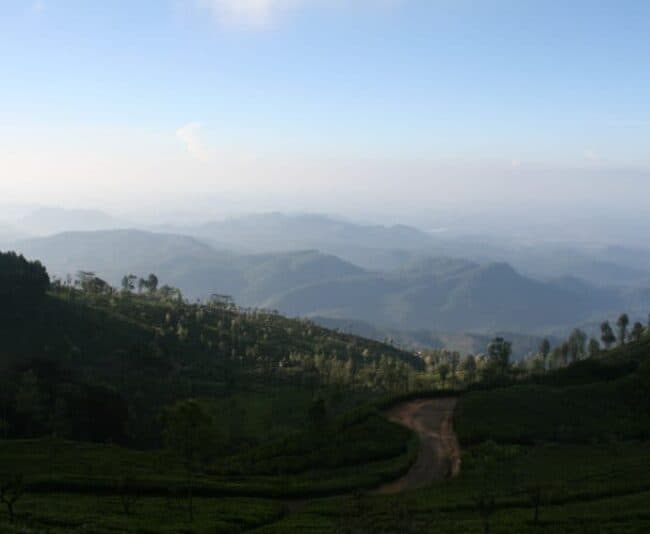 The town of Haputale is in the middle of tea plantations, including the Lipton empire.