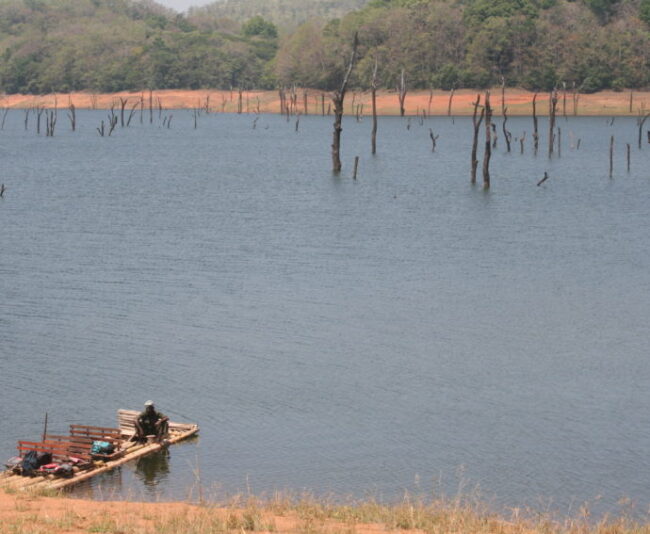 The Periyar Wildlife Sanctuary is a 777-square-kilometer park with a 26-square-kilometer artificial lake built by the British in 1895.
