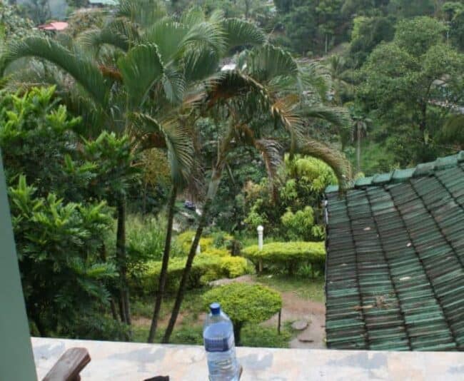 The view from my balcony in the early morning mist.