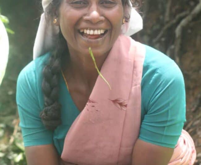 This tea picker won my heart and about 12 cents.