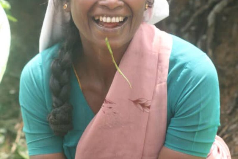 This tea picker won my heart and about 12 cents.