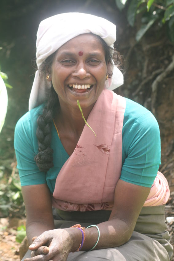 This tea picker won my  heart and about 12 cents.