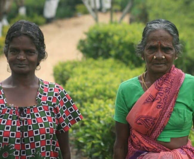 Lipton's tea plantation employs about 400 tea pickers, mostly Tamils originally from South India.