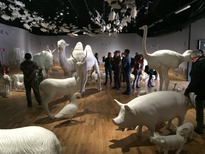 The exhibit showing the domestication of animals.