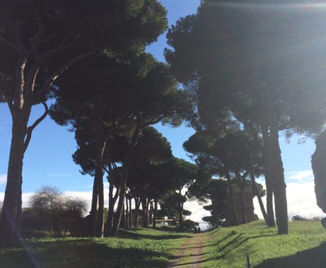 Via Latina is 5,000 years old and once stretched 115 miles from Rome to where near Naples is today.
