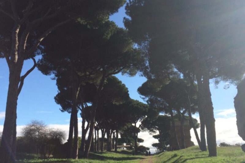 Via Latina is 5,000 years old and once stretched 115 miles from Rome to where near Naples is today.