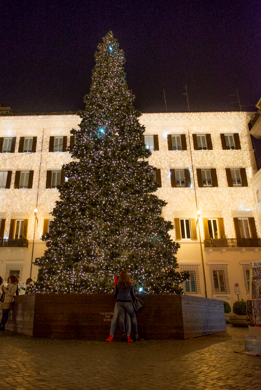 Tree in Piazza Magnanelli. Photo by Marina Pascucci