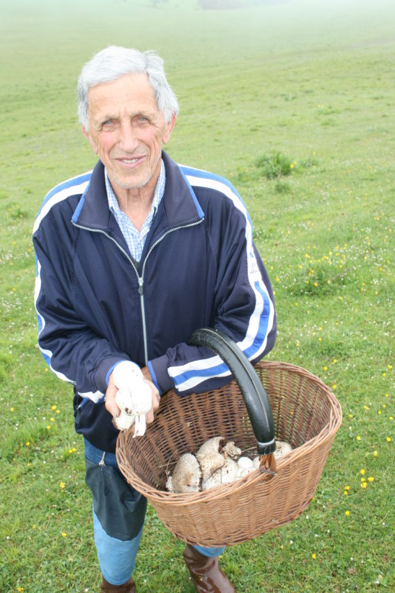 A local man collecting mushrooms in the morning.