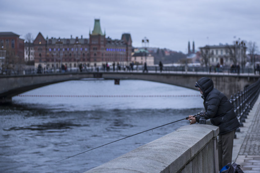 Stockholm is so clean people fish near downtown. Photo by Marina Pascucci