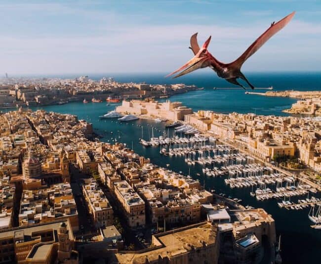 Pteradactyl