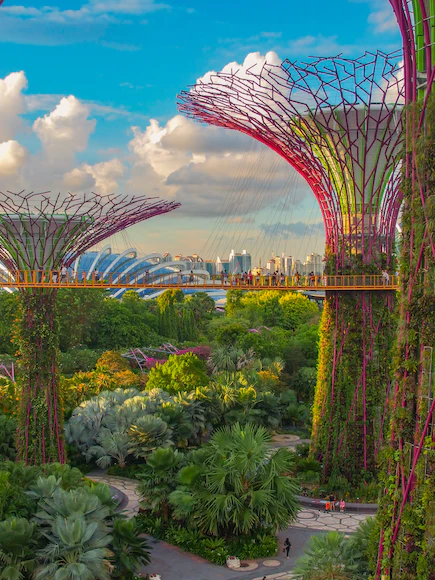 Super Tree Grove at Garden by the Bay in Singapore. 