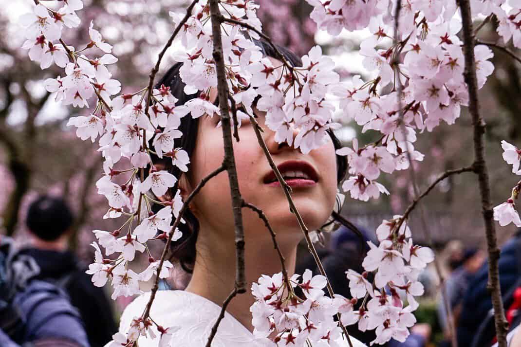 A woman engulfed in cherry blossoms at Kyoto's Imperial Palace. 