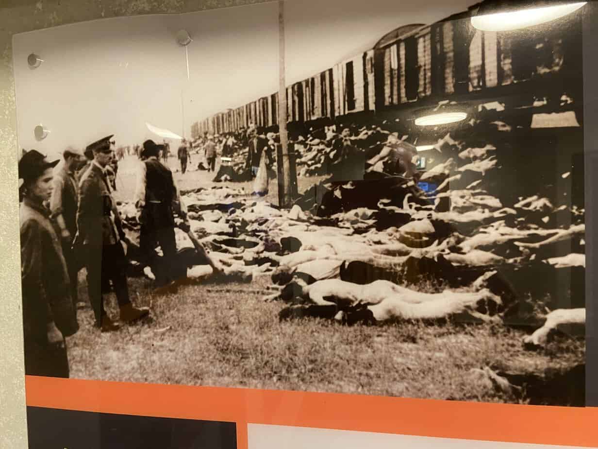 A picture of bodies laying outside train cars from the Iasi Pogrom Museum.