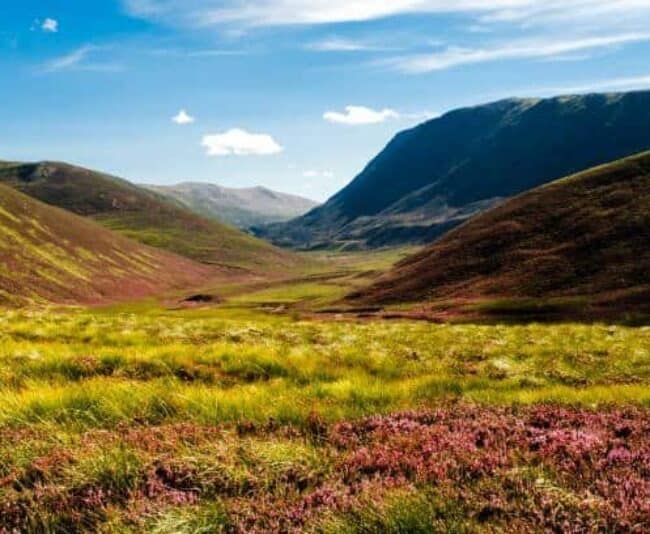Scotland