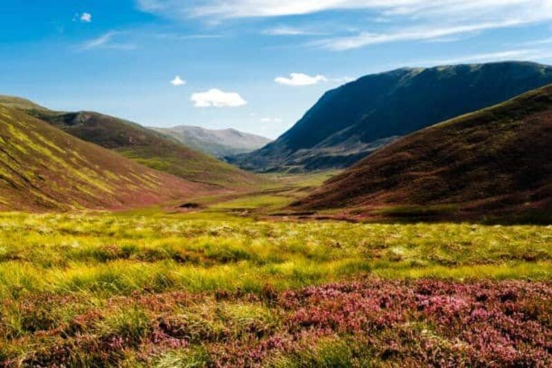 Scotland