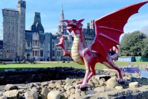 2bd55b54-c359-4ae8-a18b-638aa54fa860