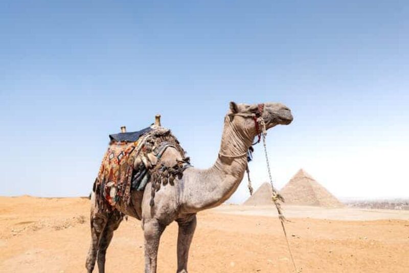 Egypt: Planning a bucket list trip to Egypt? Here’s how to dive in before you go