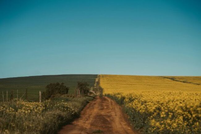 Western Cape Western Cape