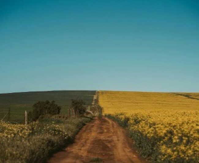 Western Cape