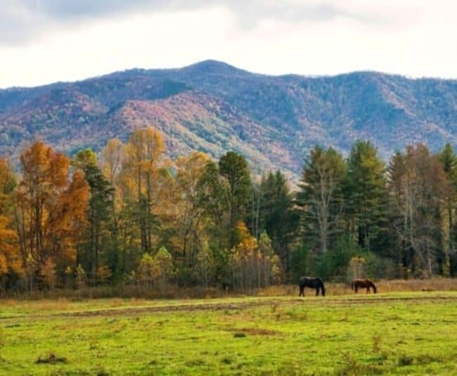 Blue Ridge Mountains