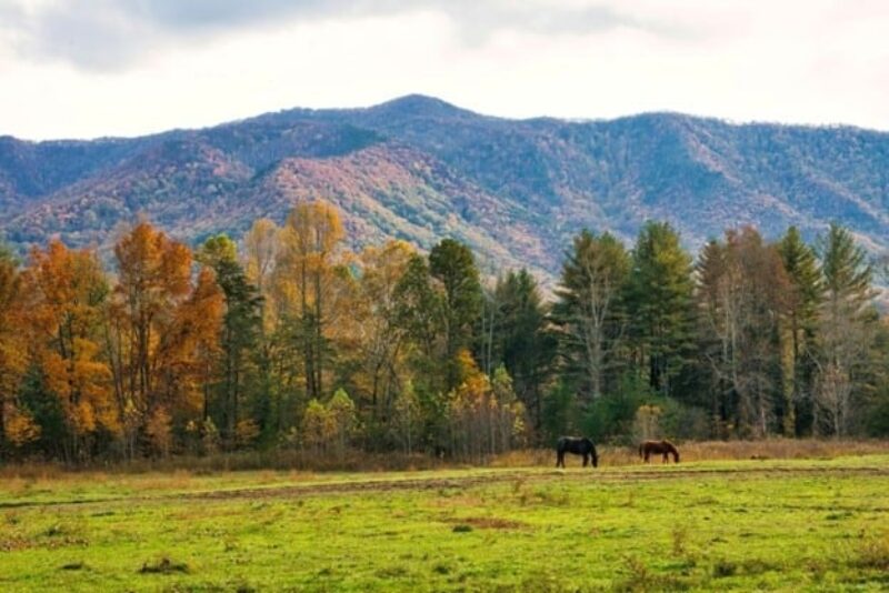 Blue Ridge Mountains